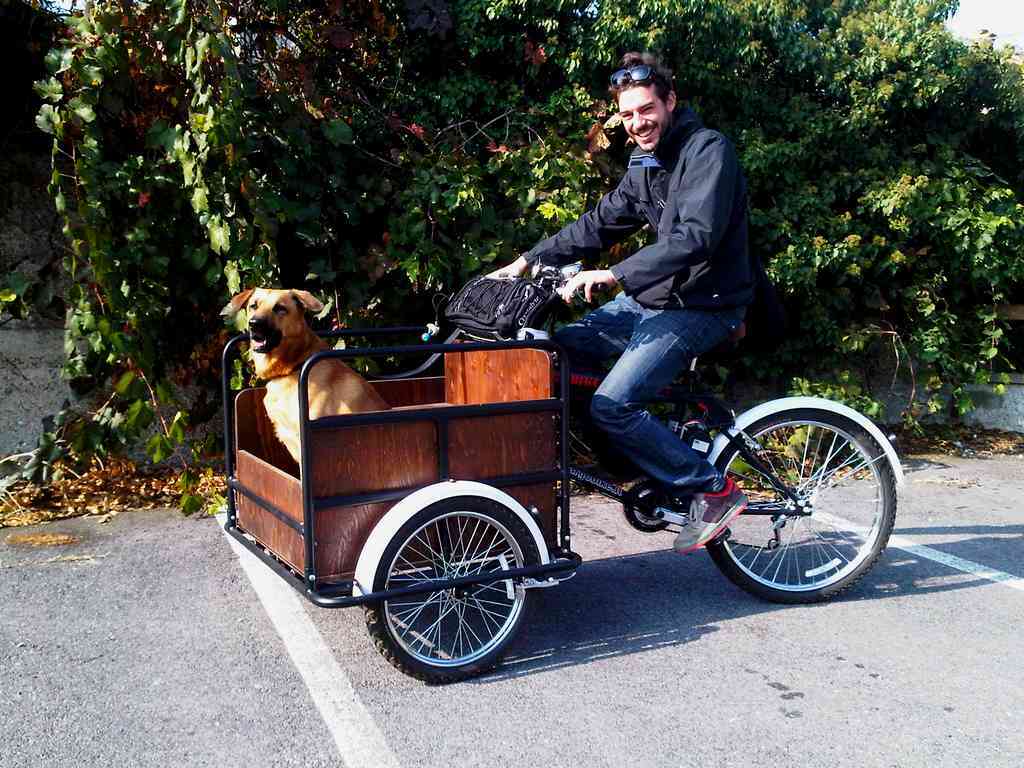 cargo bike triciclo uso familiare trasporto cani