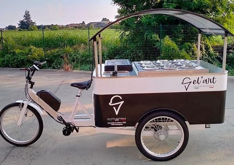 Carretto Gelati Cargo Bike con Freezer Pozzetto 9 gusti per gelato artigianale