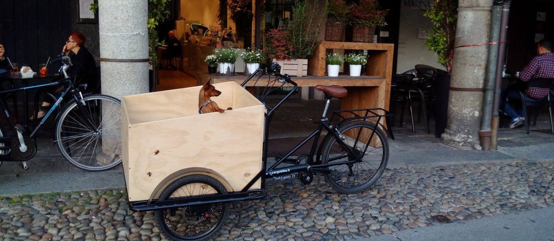 triciclo Cargo bike Famiglia trasporto cane