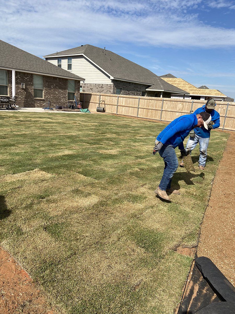 sod installation