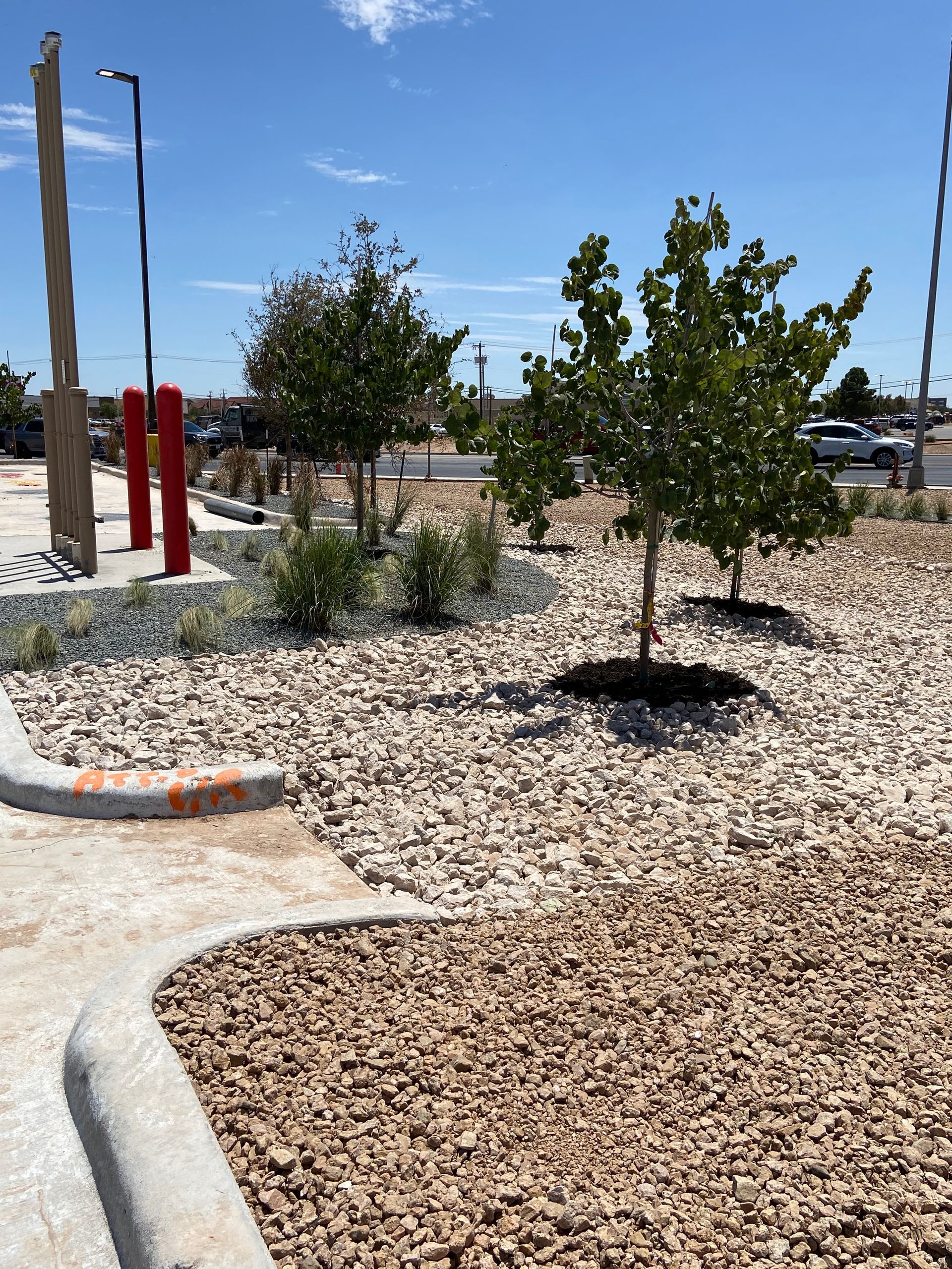 Front yard of modern house in spring