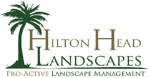 Hilton Head Landscapes