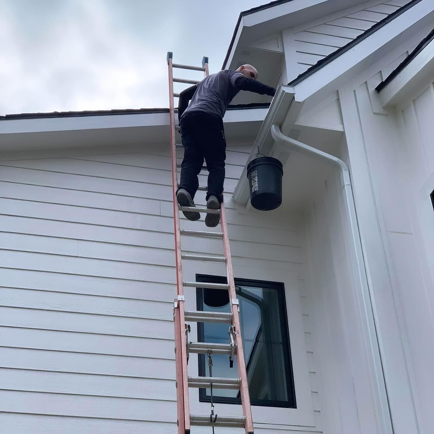 window cleaning clarksville mi