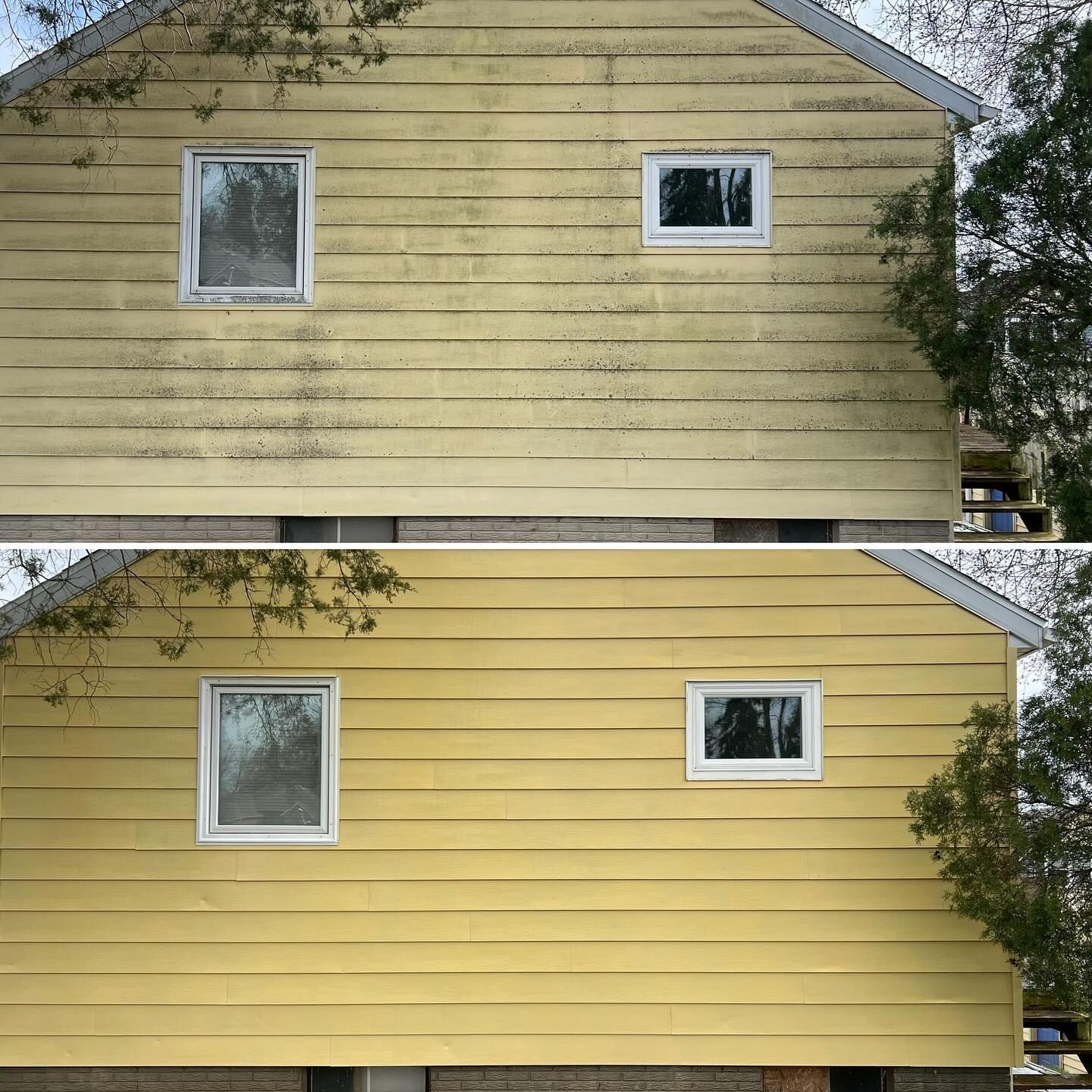 roof cleaning clarksville mi