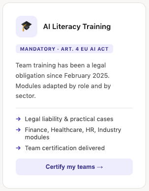 Book a free audit Consulting AI