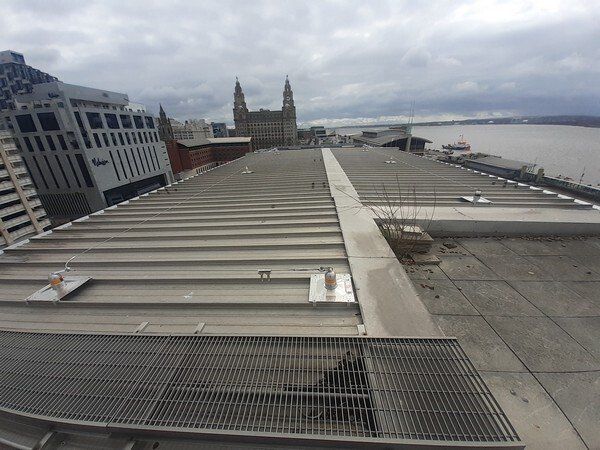 Fall protection systems