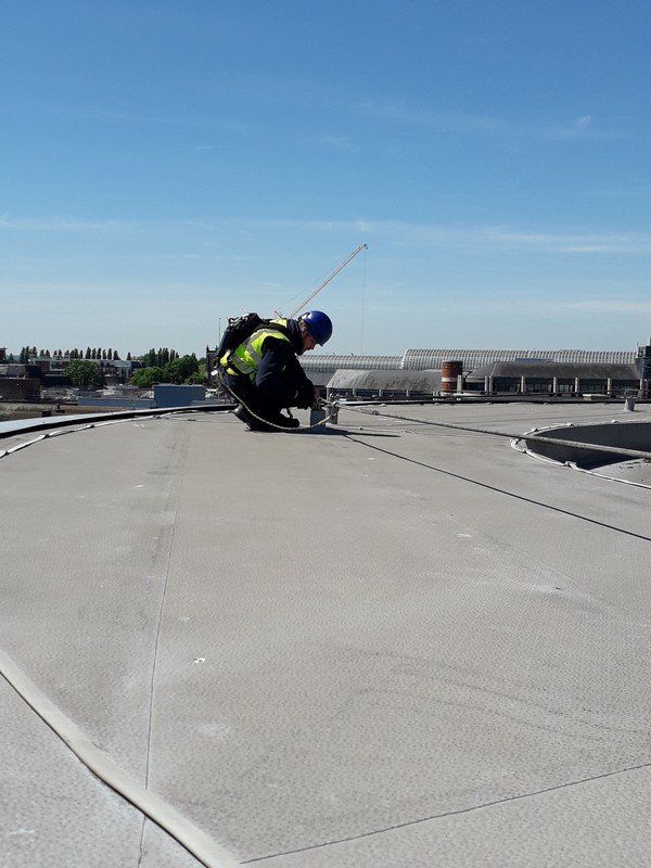 Fall protection systems