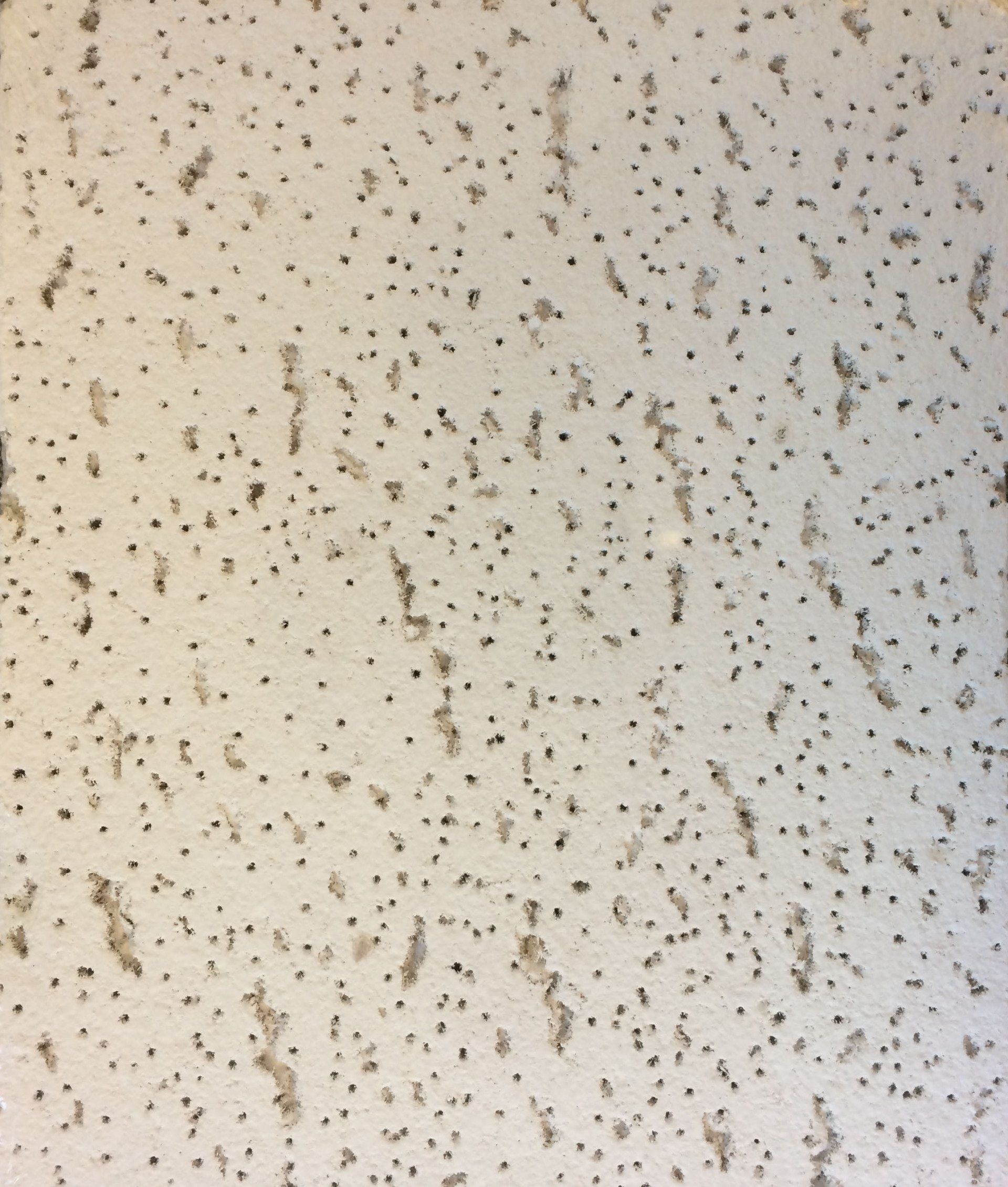 Tarta Armstrong Tile