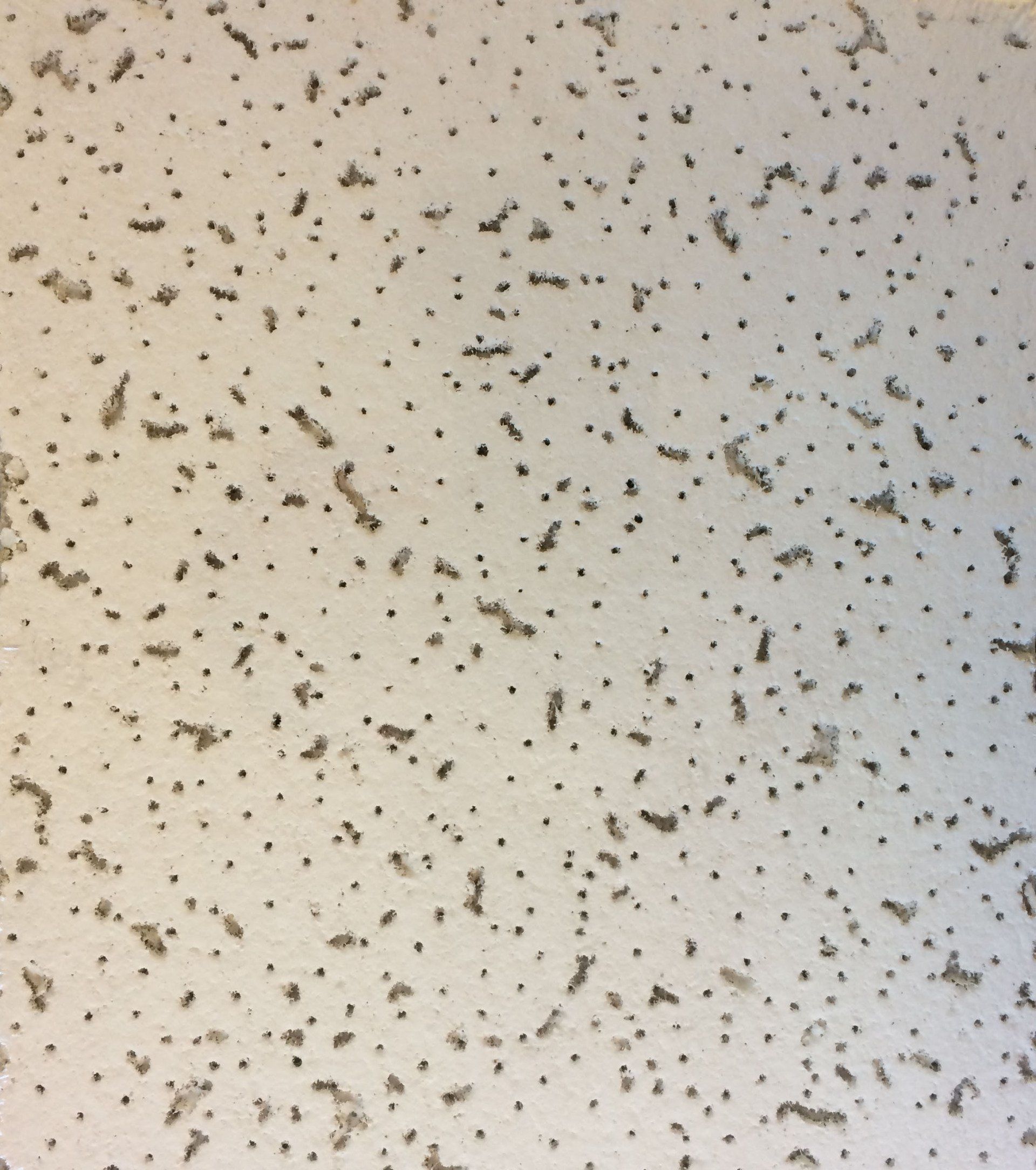 Cortega Armstrong Tile