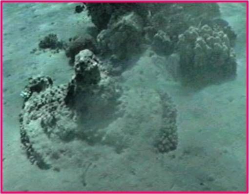 Chariot wheels discovered at the bottom of the Red Sea.