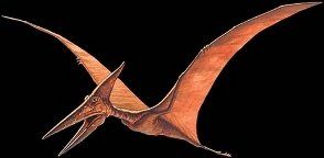 Is Green Co. pterodactyl terrain? Some think so, News