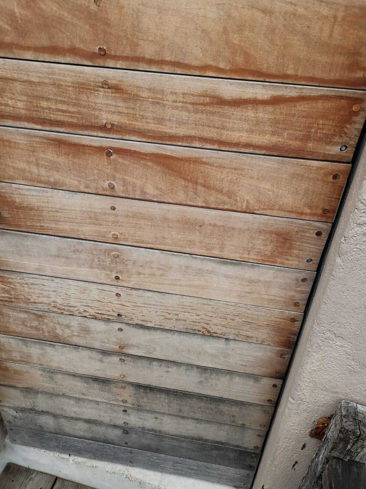 EMPRESA DE LIMPIEZA Y MANTENIMIENTO ANDRU RÍOS