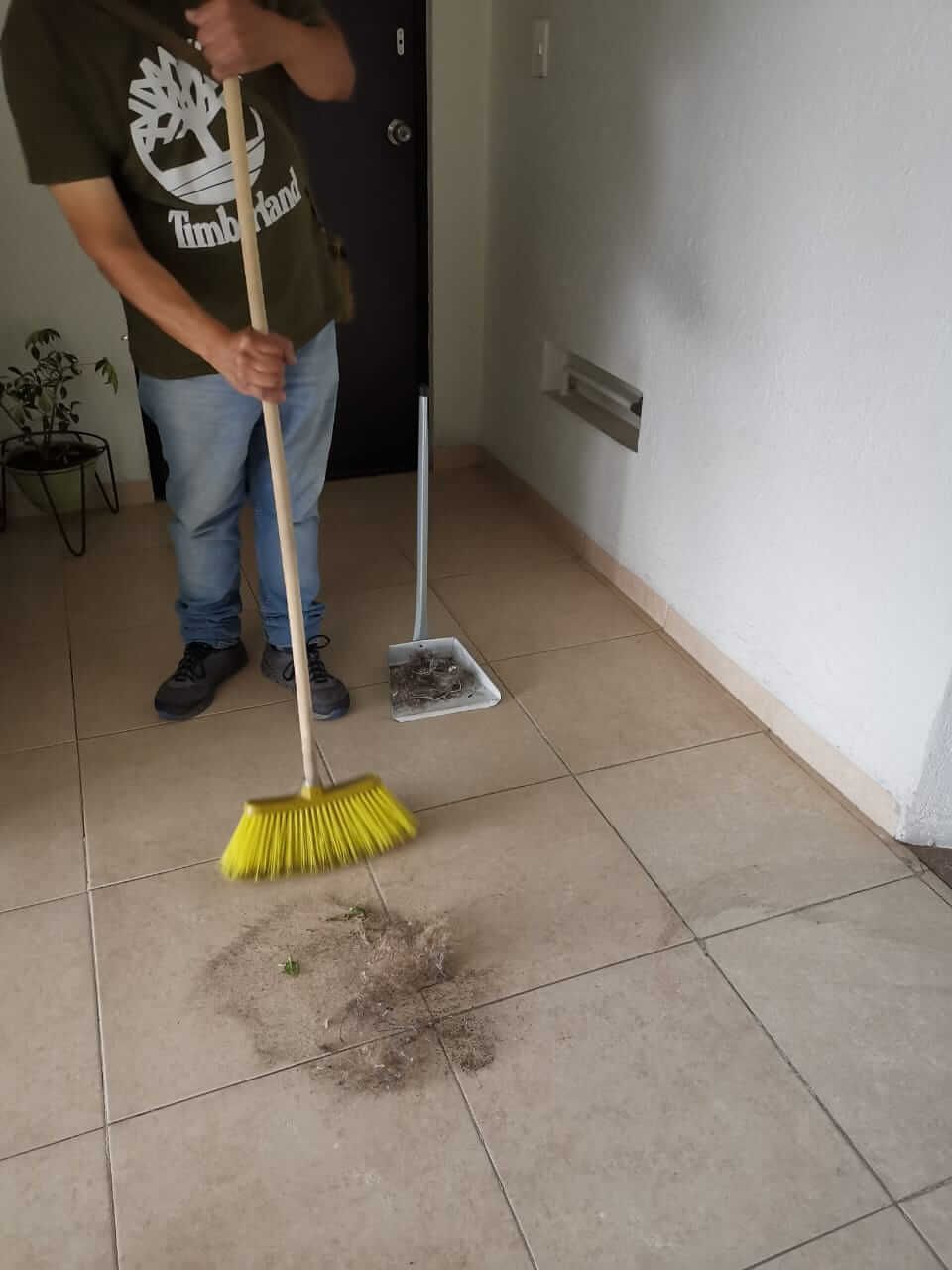 EMPRESA DE LIMPIEZA Y MANTENIMIENTO ANDRU RÍOS