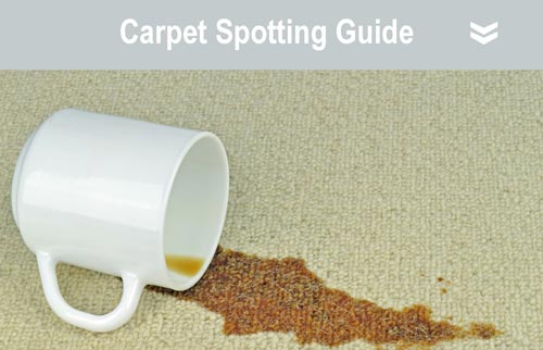 Coffee Spill — Carpet Care in Phoenix, AZ