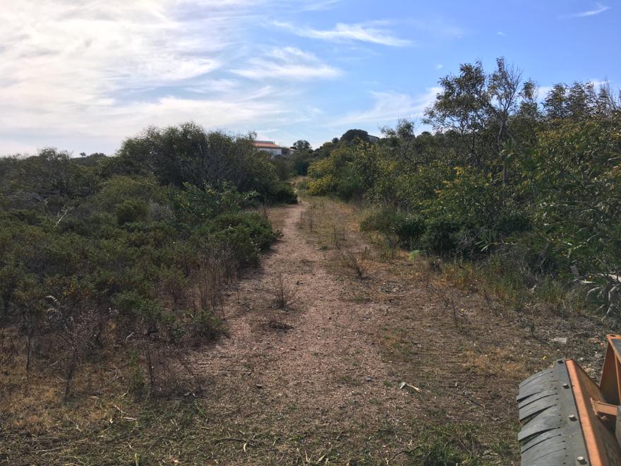 pulizia terreno forestale