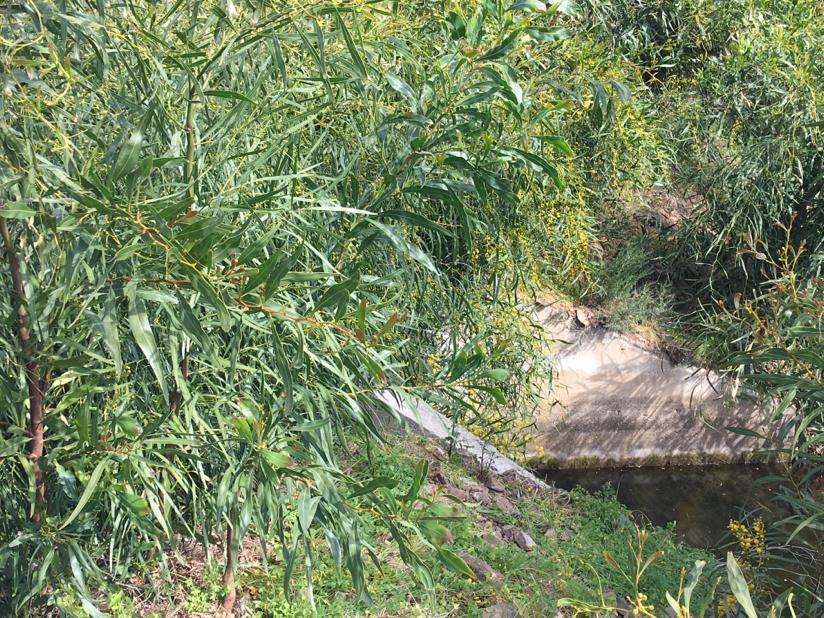 terreno da bonificare