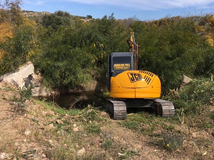 trincia forestale per pulizia terreno