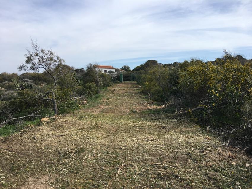 pulizia terreno con trincia forestale