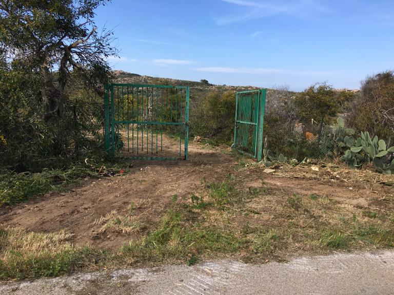 pulizia terreno forestale