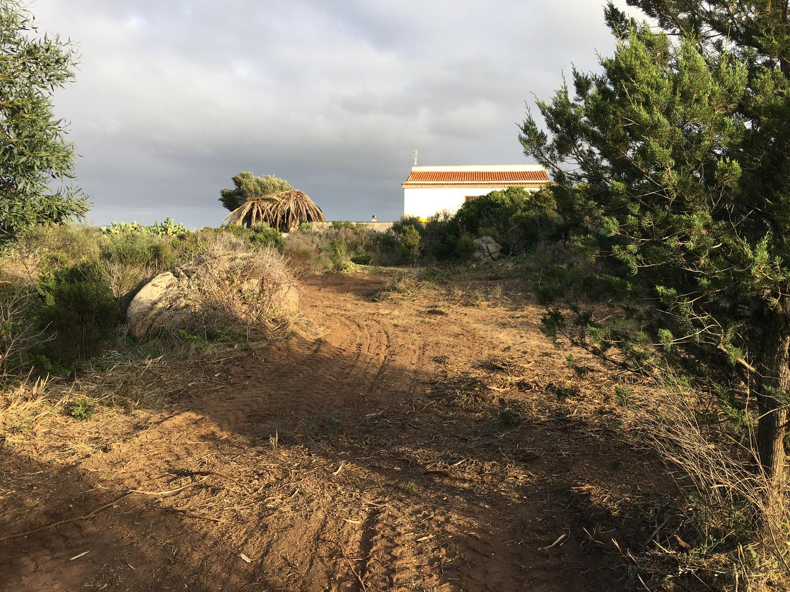 Pulizia terreni con trincia forestale