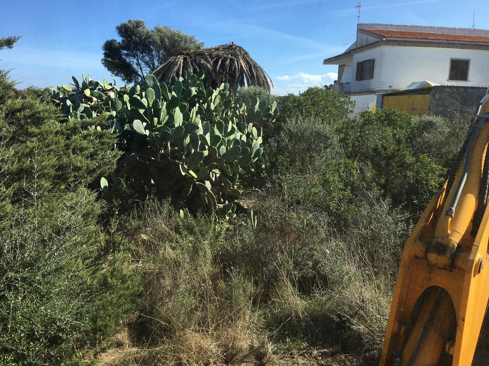 Pulizia terreni con trincia forestale