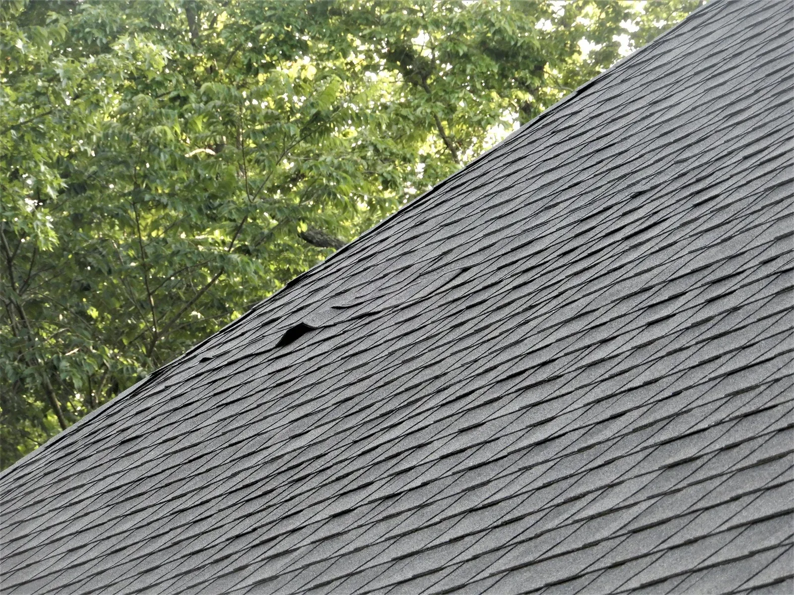 Dark gray asphalt shingle roof with several damaged shingles. Green tree foliage in the blurred background.