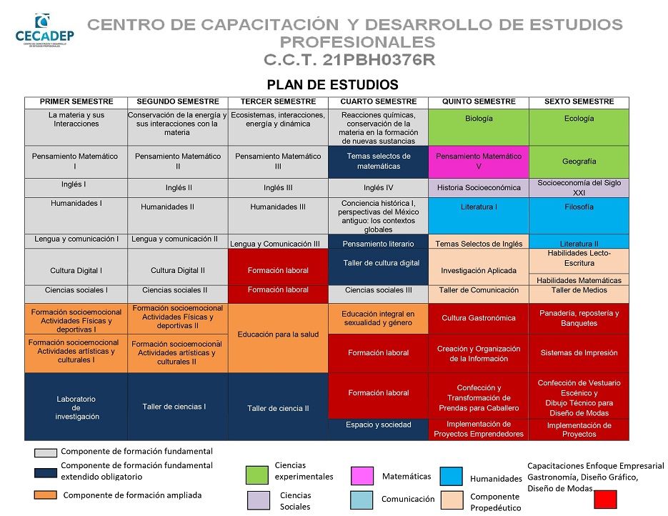 CECADEP - Mapa curricular