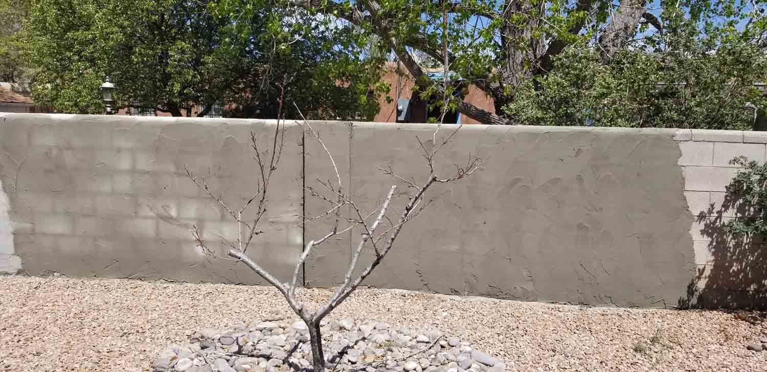 A tree is growing in front of a brick wall.