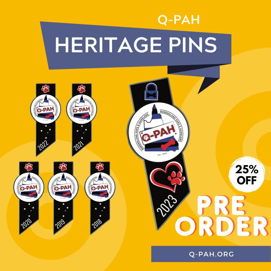 pins-are-back
