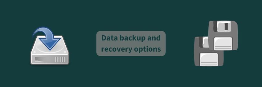 Data backup and recovery