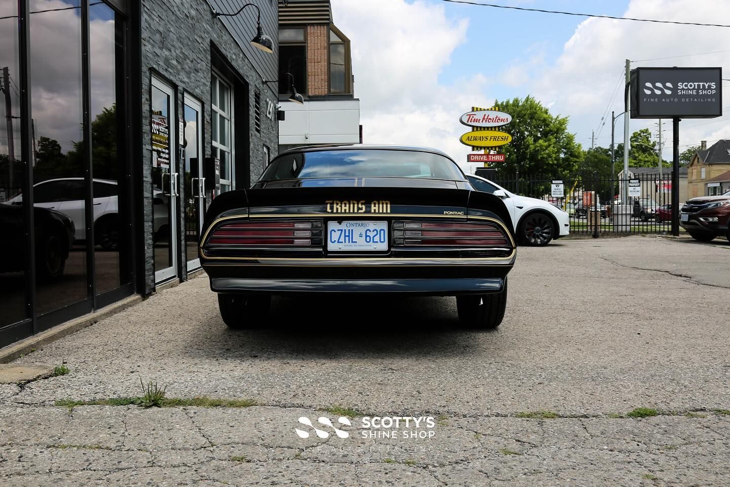 1976 Pontiac Firebird Xpel Prime XR Plus Ceramic Window Film, Paint Correction, Modesta BC-X Ceramic Coating rear end view London, Ont