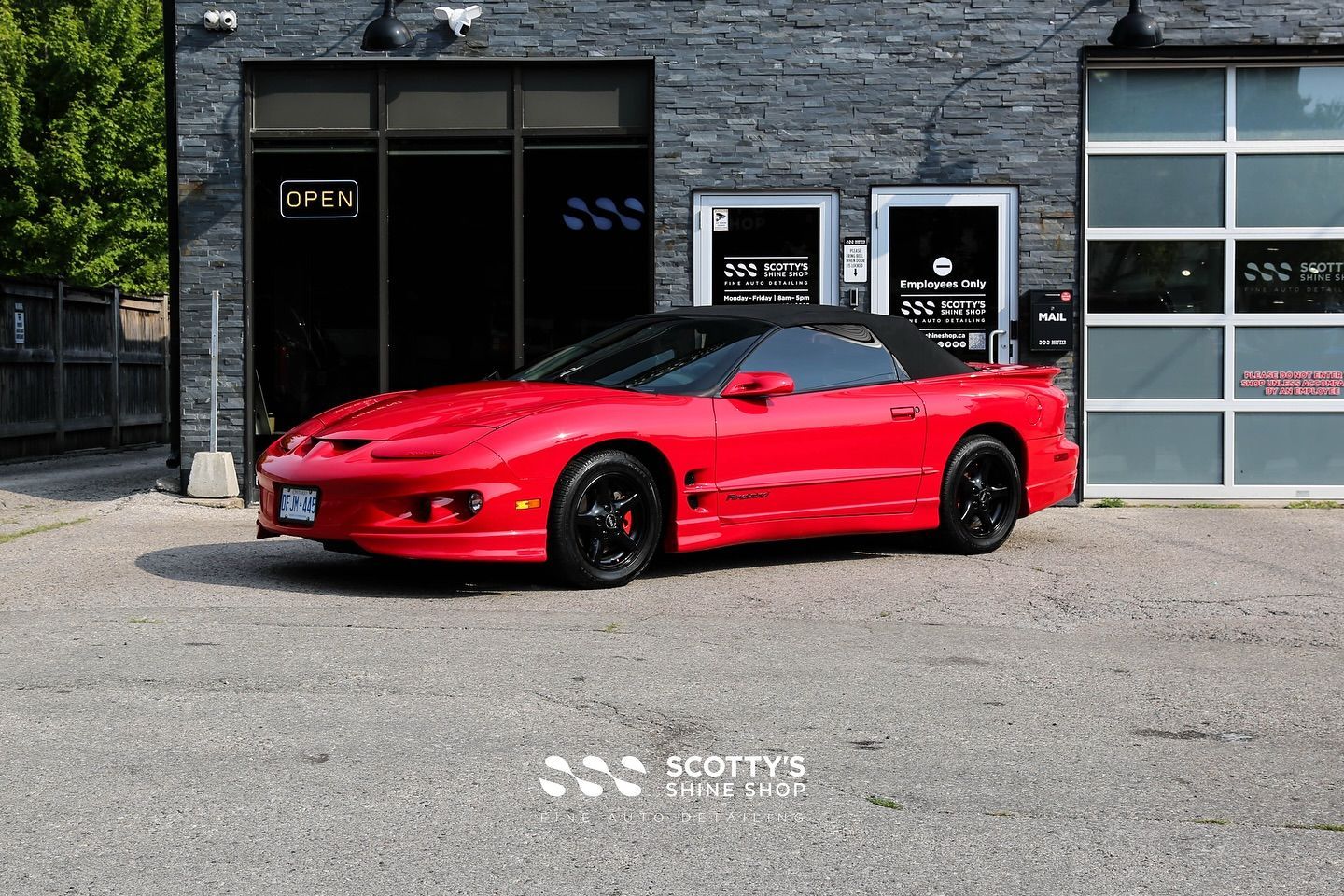 2000 Pontiac Firebird Convertible Paint Correction London, ON Canada