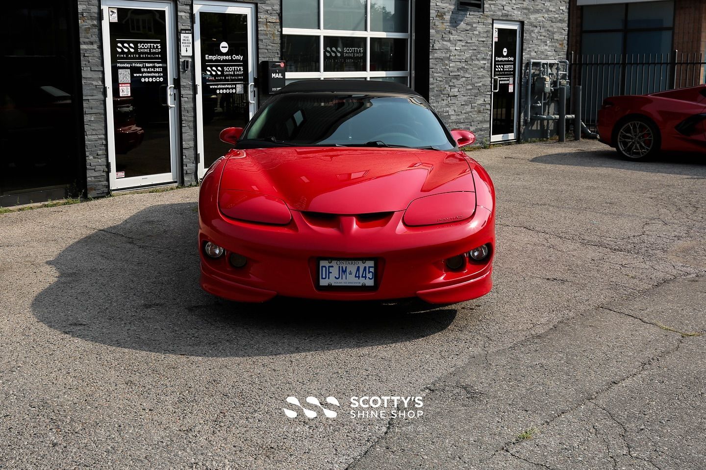 2000 Pontiac Firebird Convertible Paint Correction front end view London, ON Canada