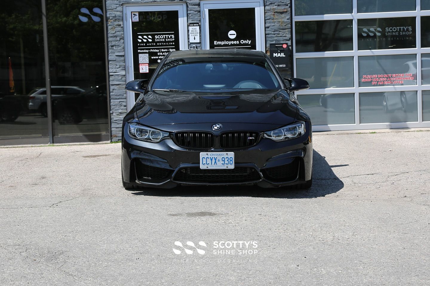 2015 BMW M4 Overspray Removal, Paint Correction, Modesta BC-04 Coating front end view London, Ontario