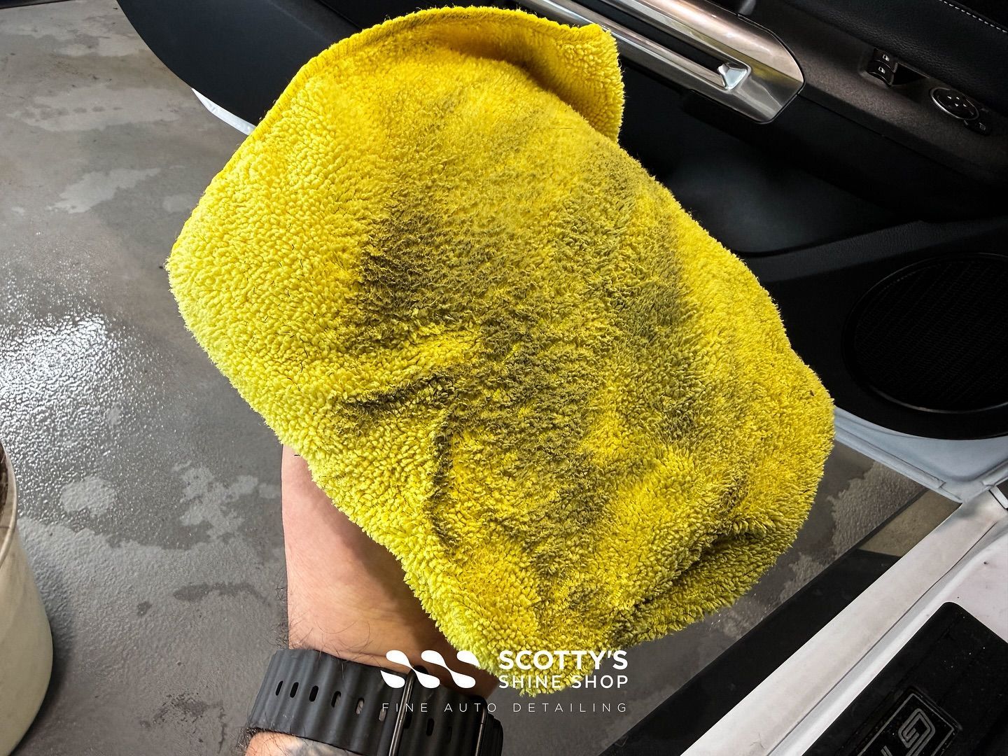 2016 Ford Mustang GT350 Interior Detailing of Delicate Alcantera Restoration in process London, Canada