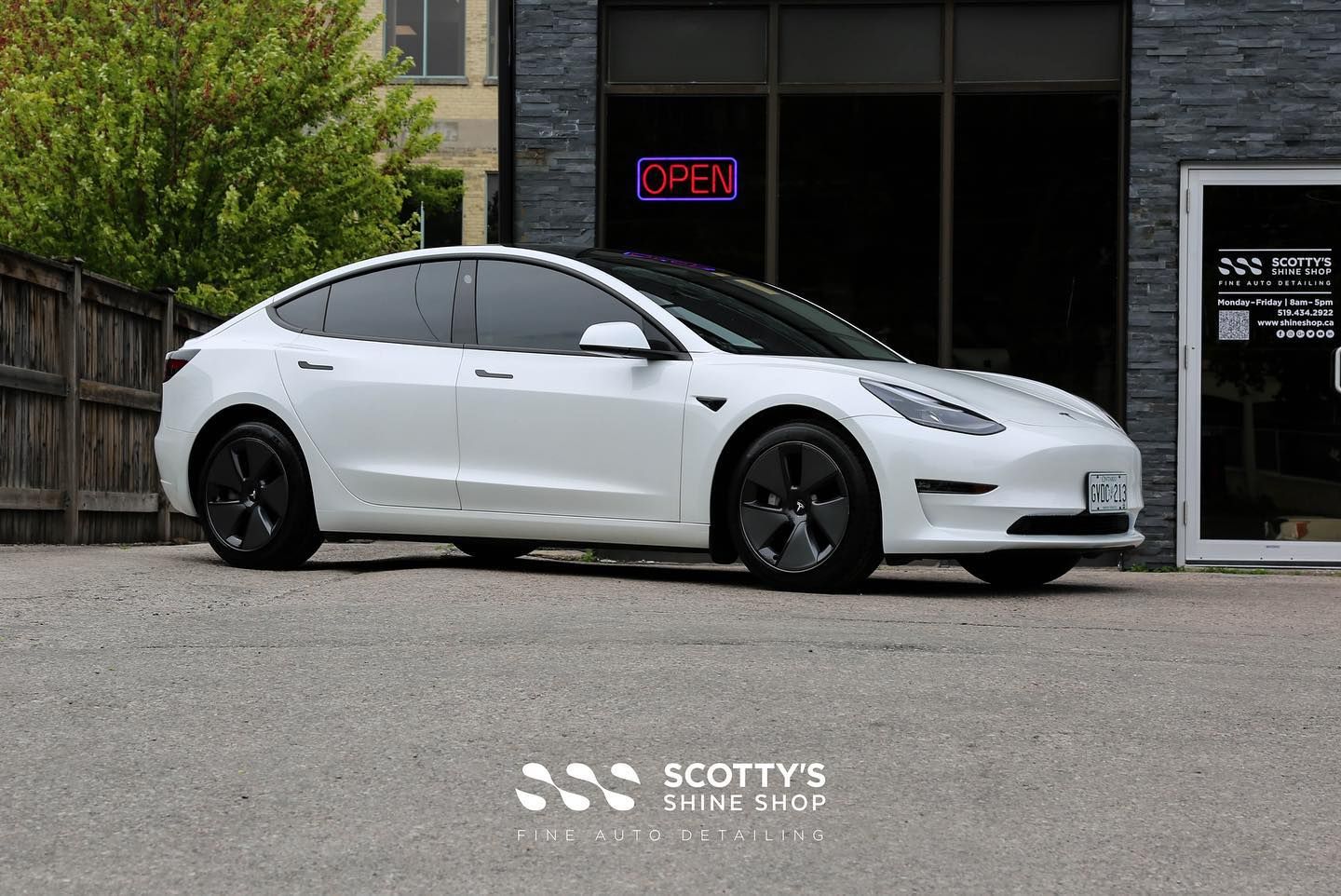 2021 Tesla Model 3 Paint Touch Ups, Paint Correction, Xpel Ultimate Plus Paint Protection Film, Xpel Prime XR Plus Window Tint and a Ceramic Coating London, Ontario Canada
