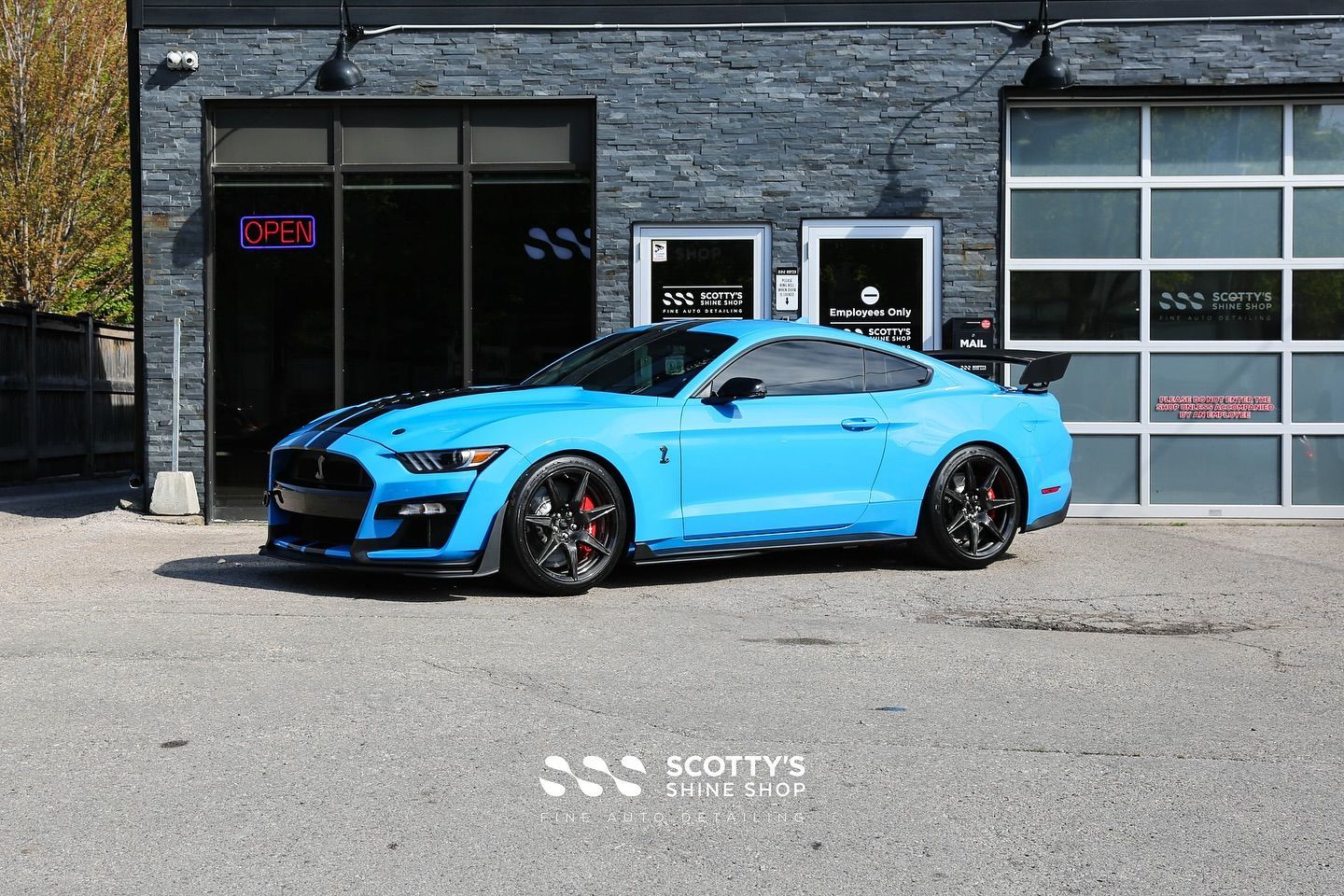 2022 Ford Mustang GT500 LLumar Formula 1 Stratos Ceramic Window Tint, SunTek Ultra Full Body Paint Protection Film, Ultrafit Wincrest EVO Windshield Protection Film, Modesta BC-06 & 04 London, Canada