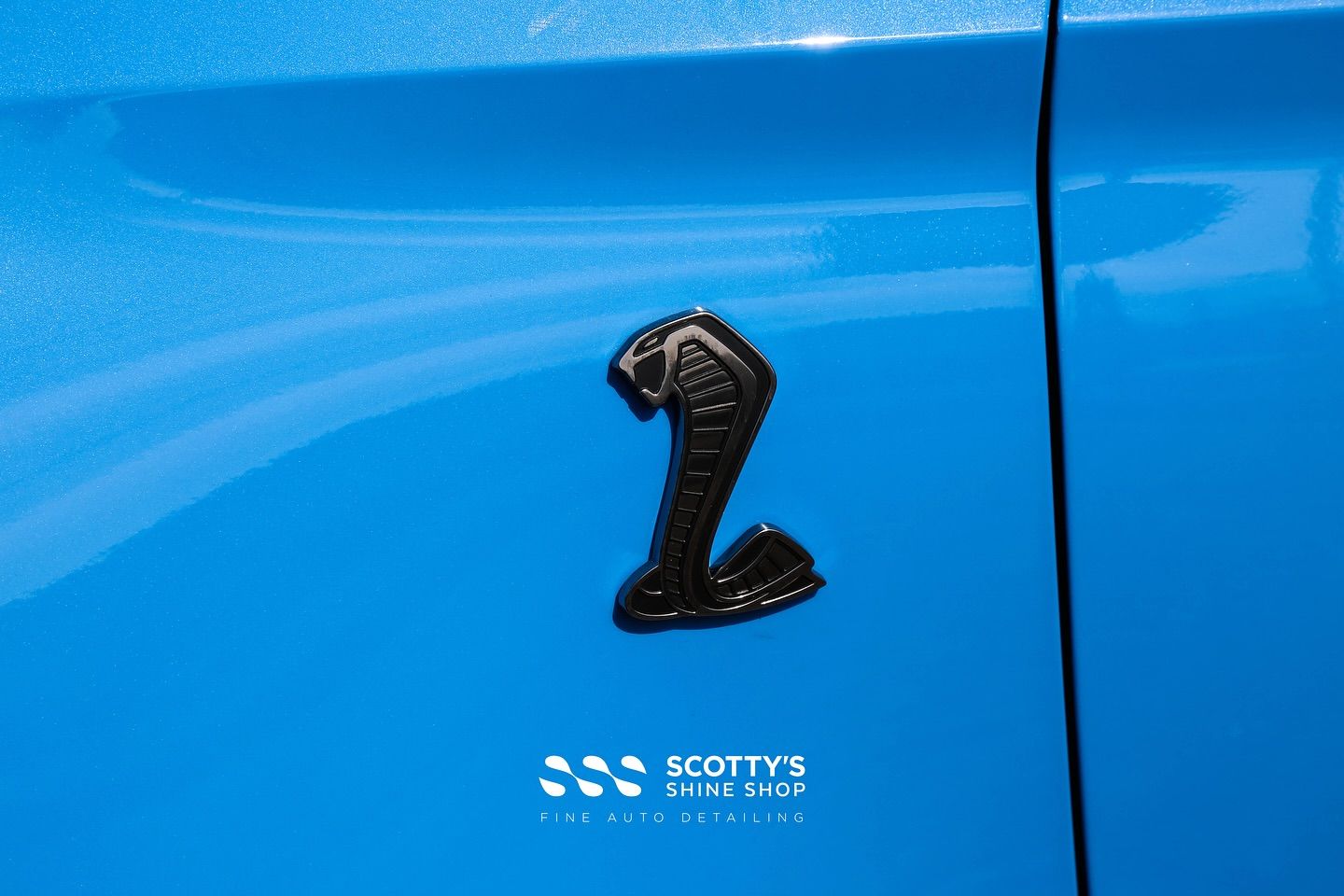 2022 Ford Mustang GT500 LLumar Formula 1 Stratos Ceramic Window Tint, SunTek Ultra Full Body Paint Protection Film, Ultrafit Wincrest EVO Windshield Protection Film, Modesta BC-06 & 04 side emblem close up London, ON