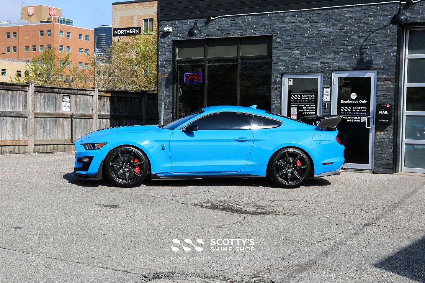 2022 Ford Mustang GT500 LLumar Formula 1 Stratos Ceramic Window Tint, SunTek Ultra Full Body Paint Protection Film, Ultrafit Wincrest EVO Windshield Protection Film, Modesta BC-06 & 04 side view London, ON Canada