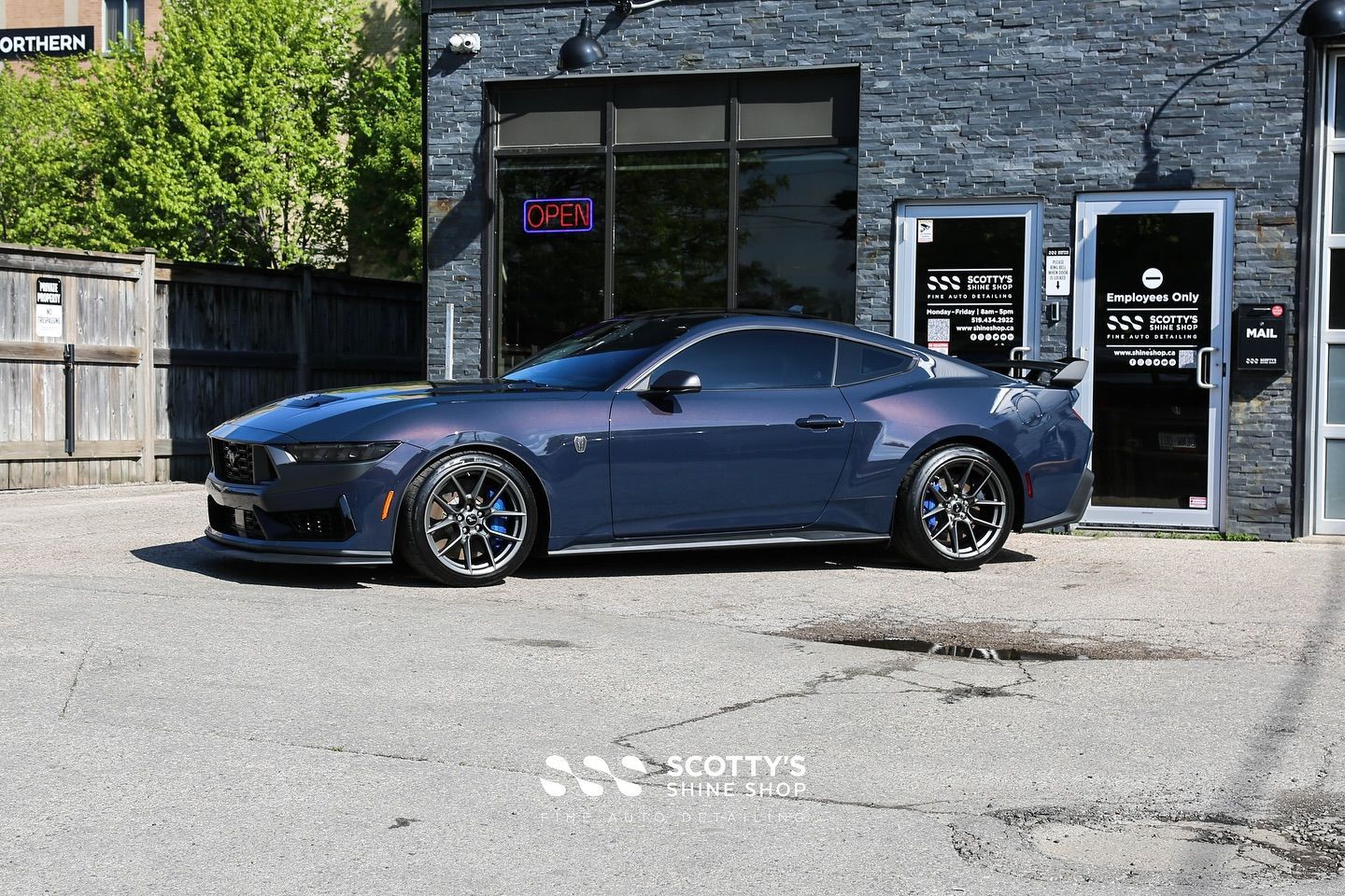 2024 Ford Mustang Dark Horse LLumar Formula 1 Stratos Ceramic Window Tint, SunTek Ultra PPF, Ultrafit Wincrest EVO Windshield Protection Film, Modesta Glass and Wheel Coating London, Ontario 
