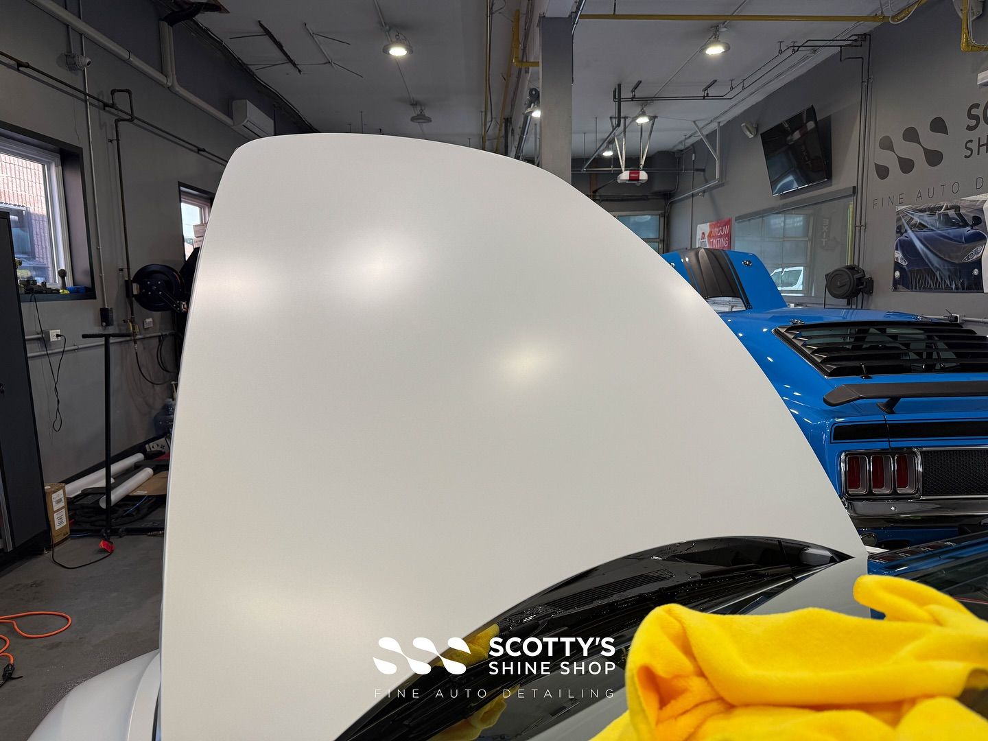 2025 Tesla Model 3 LLumar Formula 1 Stratos Ceramic Tint, Suntek Ultra Matte Paint Protection Film, Modesta Ceramic Coating hood open view London, Ontario