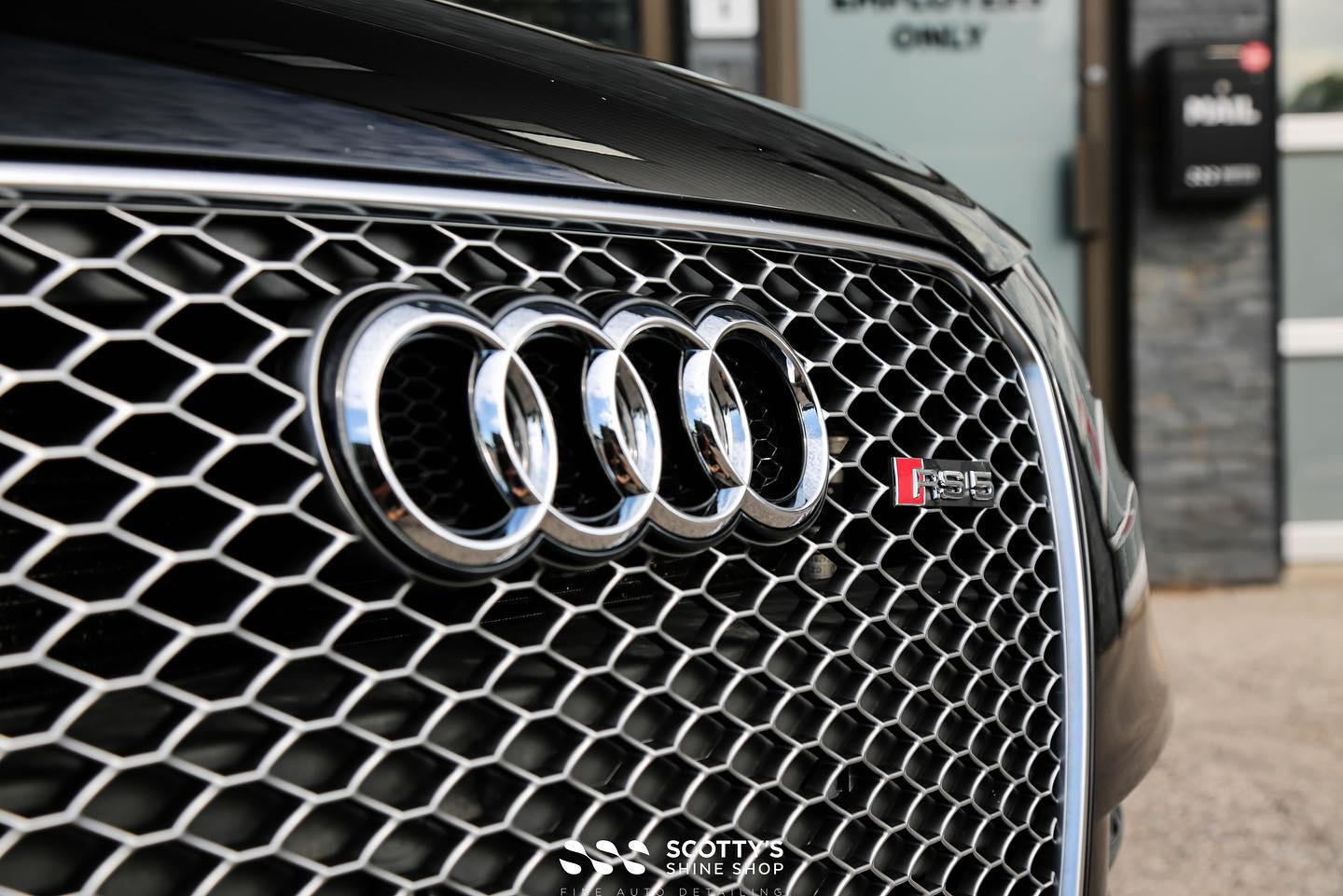 Audi RS5 Cabriolet Ultimate Detailing Package and Paint Correction emblem close up London, ON