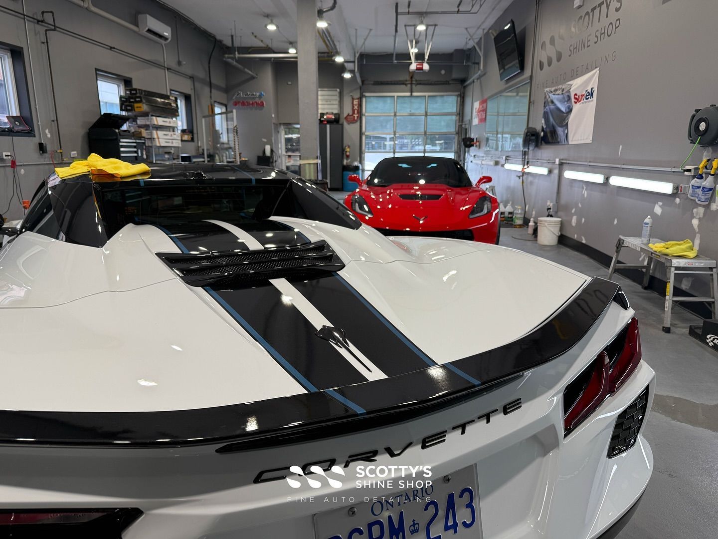 Chevrolet Corvette | Detailing | London, Ontario Canada