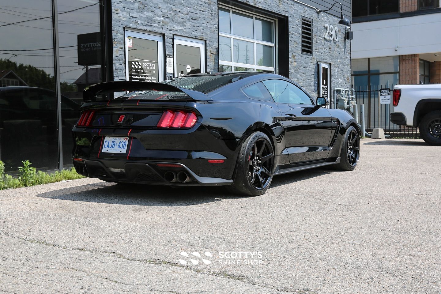 Ford Mustang GT350R Full Paint Correction and Modesta BC-04 Nano-Titanium Ceramic Coating rear view London, ON