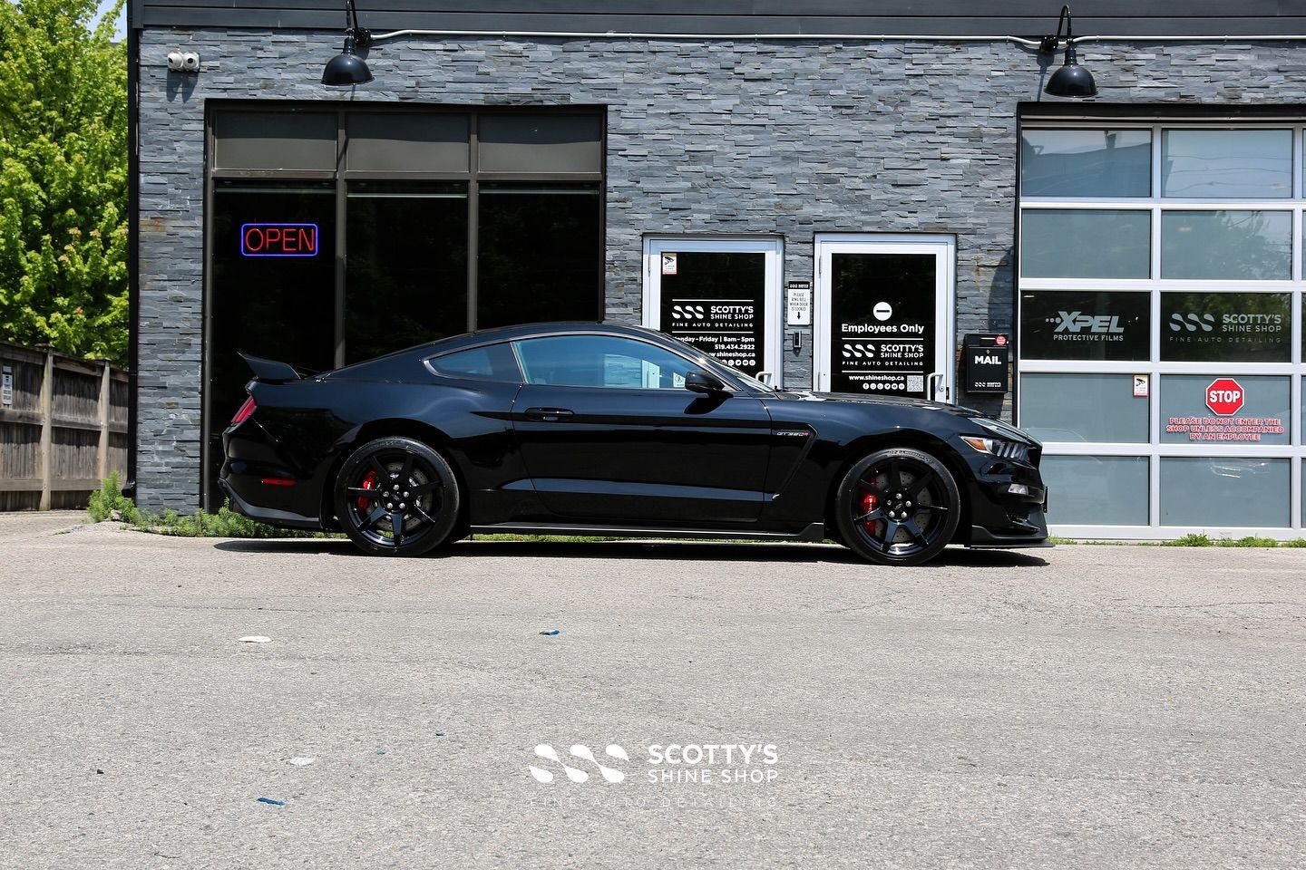 Ford Mustang GT350R Full Paint Correction and Modesta BC-04 Nano-Titanium Ceramic Coating side view London, Ontario
