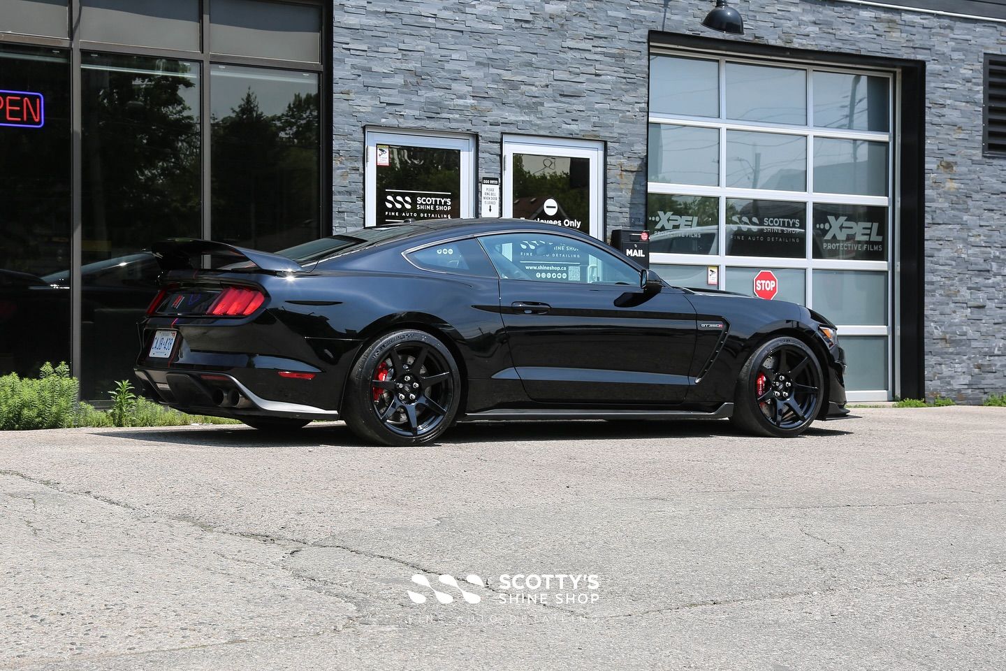 Ford Mustang GT350R Full Paint Correction and Modesta BC-04 Nano-Titanium Ceramic Coating Side View London, Ontario Canada