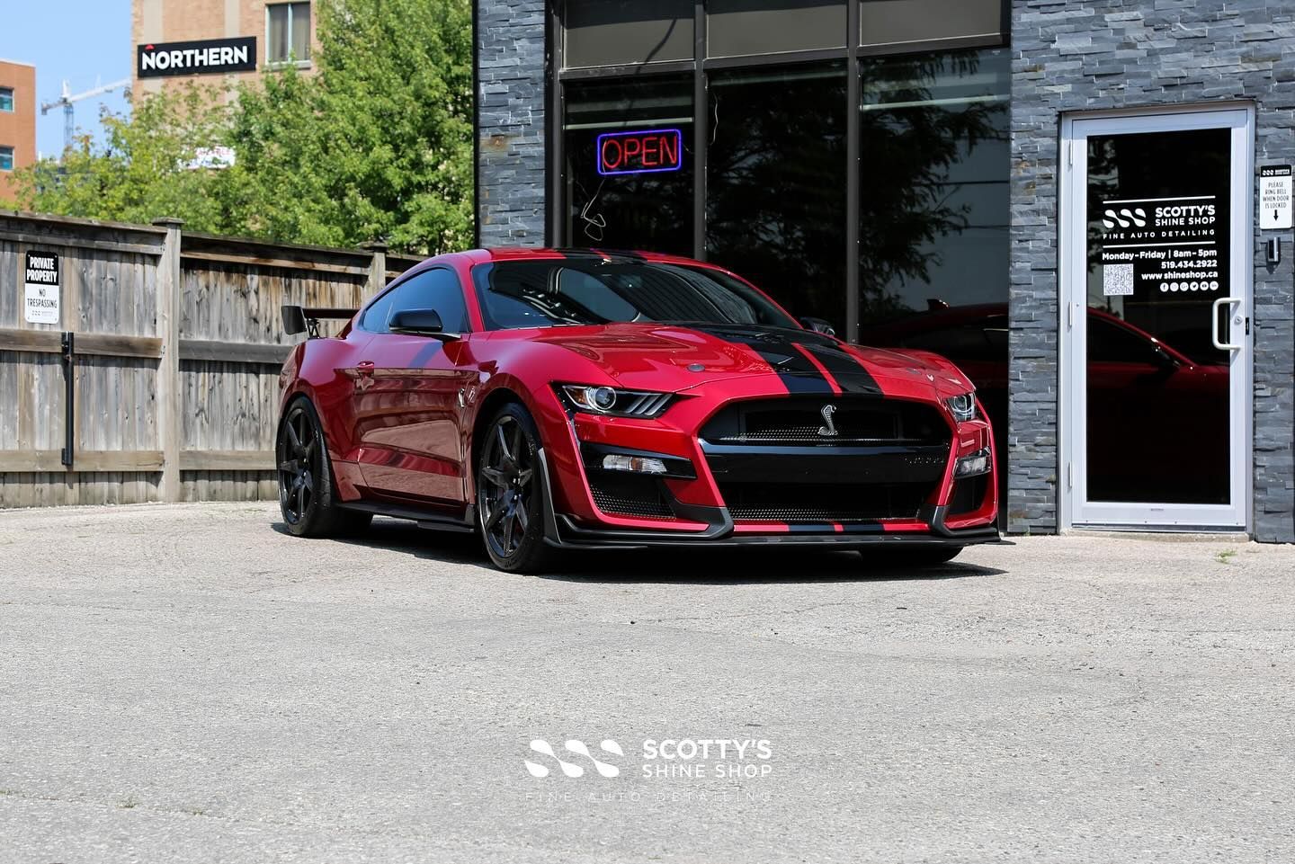 Ford Mustang GT500 Xpel Ultimate Plus Paint Protection Film, Xpel Prime XR Plus Ceramic Window Tint and Modesta Ceramic Coatings on the Body, Wheels and Glass London, Ontario Canada