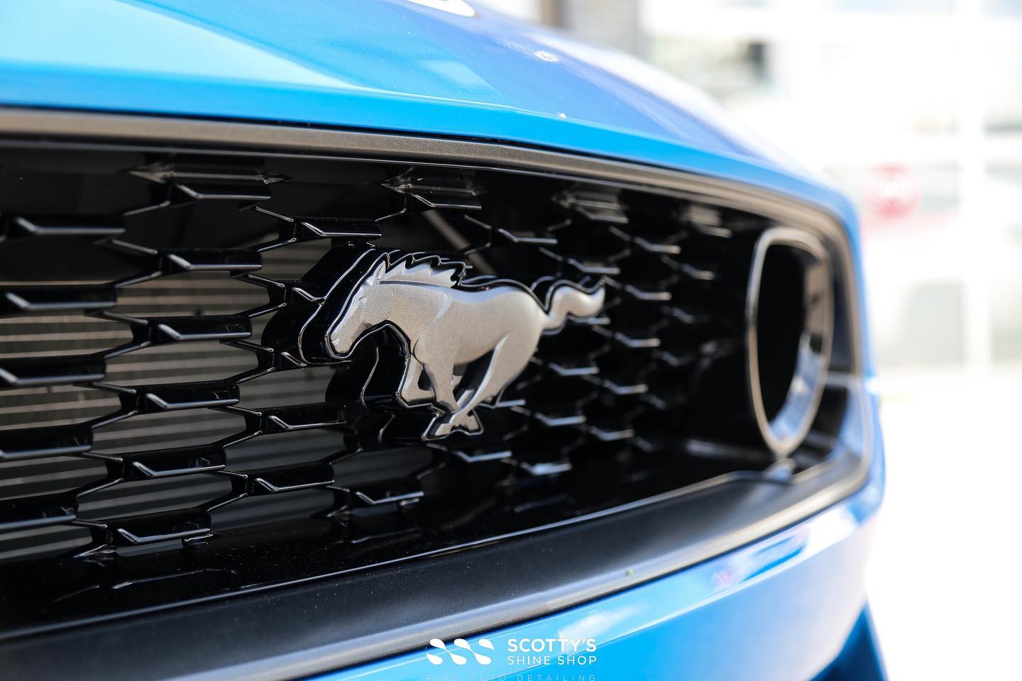 Ford Mustang Mach 1 Xpel XR Plus ceramic window tint and Modesta BC-04 nano titanium glass coating emblem close up London Canada