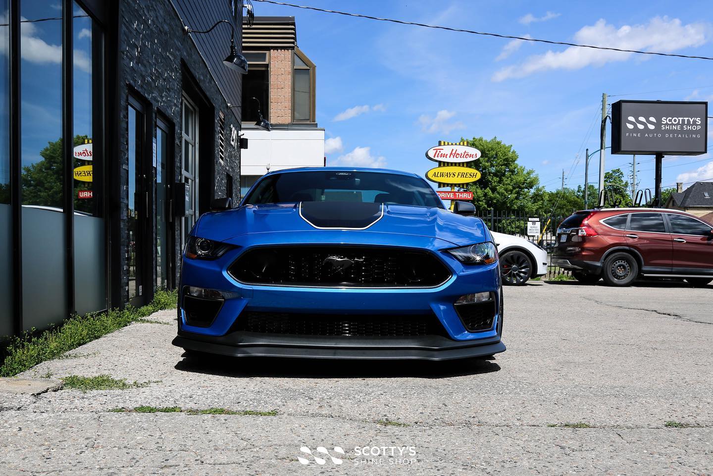 Ford Mustang Mach 1 Xpel XR Plus ceramic window tint and Modesta BC-04 nano titanium glass coating front view London ONT