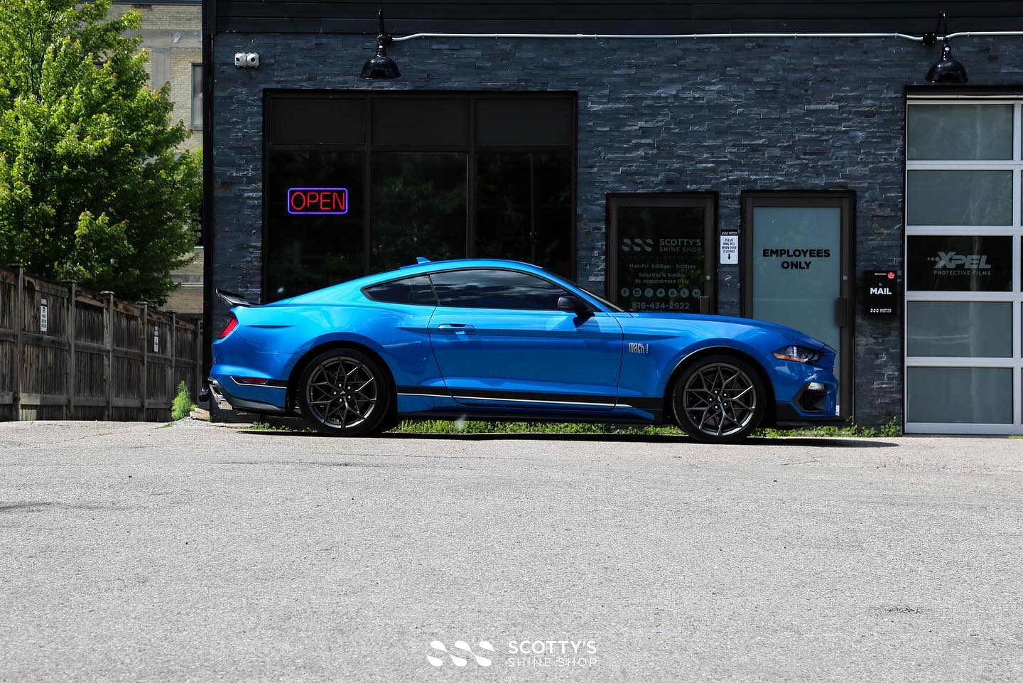 Ford Mustang Mach 1 Xpel XR Plus ceramic window tint and Modesta BC-04 nano titanium glass coating London Ontario